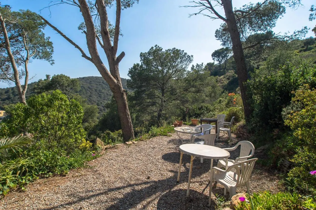 St-31 Begur Sa Tuna 2 Pax Apartment Spain